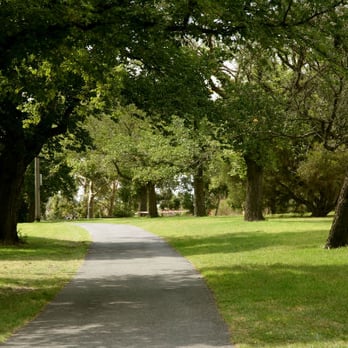 Cadieu Tree Experts - Tree Services Near Me - Charlotte, North Carolina Cadieu Tree Experts - Tree Services Near Me - Charlotte, North Carolina