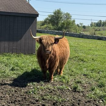 Action Wildlife Foundation - Community Service/Non-Profit Near Me - Goshen, Connecticut