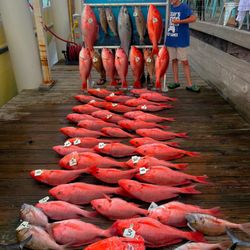 Family Tradition Charters - When I say we tore them up this is what I mean !!