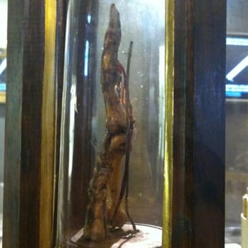 Museo Galileo - And that is Galileo's  forefinger  #creepy - Museums Near Me - Florence, FI