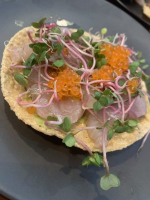 Ceviche Project by null Ceviche Project by null