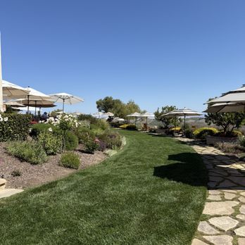 DAOU Vineyards - Wineries Near Me - Paso Robles, California