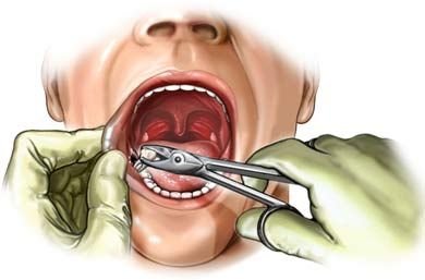 Gregory B Sweeney, DDS Logo