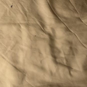 Quality Inn - Dirty nasty sheets in a room that I was moved too because first room was filthy - Hotels Near Me - Hermitage, Pennsylvania