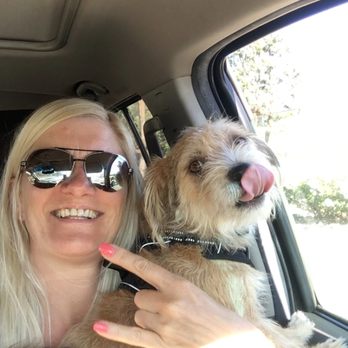 LA Pooches - Pick up for boarding - Dog Walkers Near Me LA Pooches - Pick up for boarding - Dog Walkers Near Me