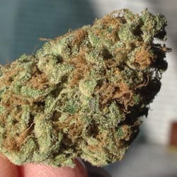 Good Meds - I forgot the strain??? Sorry