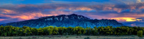 JESSICA TAFOYA - KELLER WILLIAMS REALTY - Updated March 2024 - 6703