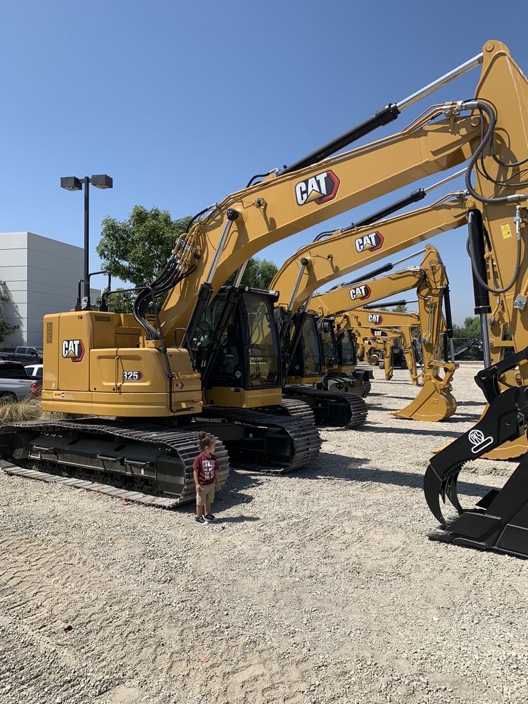 QUINN CAT LOS ANGELES Updated September 2024 13 Reviews 3500