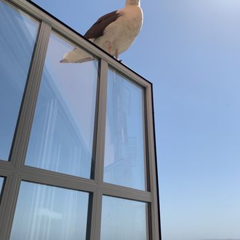 Spindrift Inn - A visitor! - Hotels Near Me - Monterey, California Spindrift Inn - A visitor! - Hotels Near Me - Monterey, California