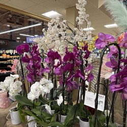 Giant Eagle - Market District - Small but mighty full department at the front of the store easy to get in and get out