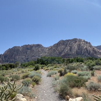 The Ash Grove Trail - Hiking Near Me - Blue Diamond, Nevada The Ash Grove Trail - Hiking Near Me - Blue Diamond, Nevada