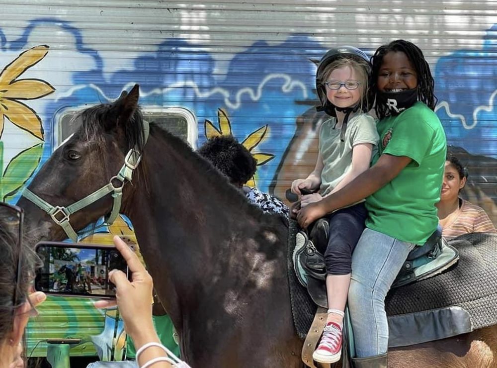 MORE THAN A HORSE FARM Updated September 2024 17 Mildred St