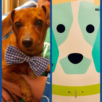 Five Below - Collar accessories!!! - Department Stores Near Me - Cherry Hill, New Jersey