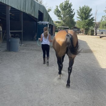 Stacey Turner Training Stables Riding School - Taking her horse to get brushed. - Horseback Riding Near Me - Norco, California Stacey Turner Training Stables Riding School - Taking her horse to get brushed. - Horseback Riding Near Me - Norco, California