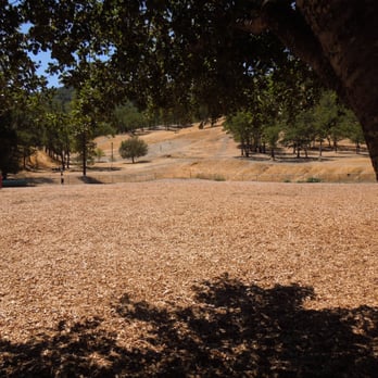 Low Gap Dog Park - Dog Parks Near Me - Ukiah, California