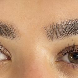 Blink Lash & Beauty - Lift and tint