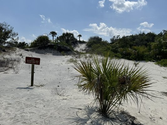 LITTLE TALBOT ISLAND STATE PARK - Updated July 2026 - 397 Photos & 69