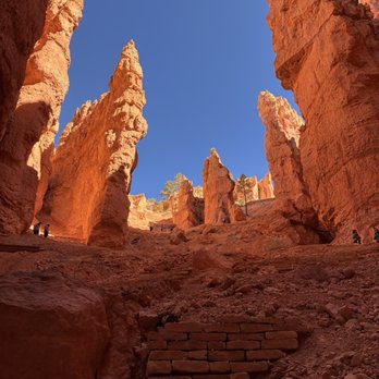 Navajo Loop - By Wall Street, near the end - Hiking Near Me - Bryce, Utah Navajo Loop - By Wall Street, near the end - Hiking Near Me - Bryce, Utah