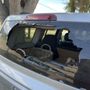 Photo of Dark Side Tint