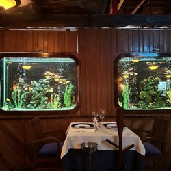 Lorenzillo's - Fish tanks