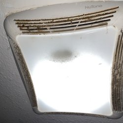 Quality Inn Near Blue Spring