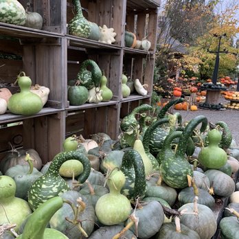 Gordon Skagit Farms - GREEN!! - Fruits & Veggies Near Me - Mount Vernon, Washington Gordon Skagit Farms - GREEN!! - Fruits & Veggies Near Me - Mount Vernon, Washington