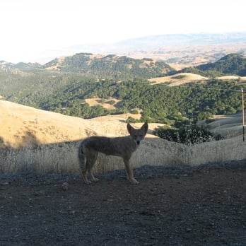 Mount Diablo State Park - Parks Near Me - Clayton, California Mount Diablo State Park - Parks Near Me - Clayton, California