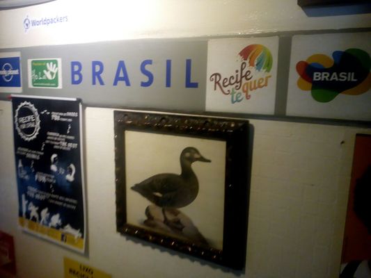 Fit Hostel - Piratas da Praia by null