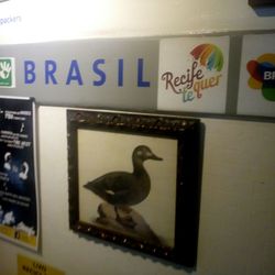 Piratas da Praia - Entrada/ Hall