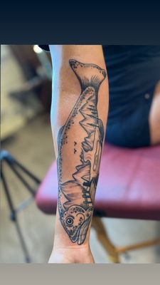 The Black Rose Tattoo