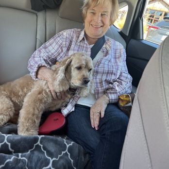 Classy Clipper Dog Grooming - After - Pet Groomers Near Me
