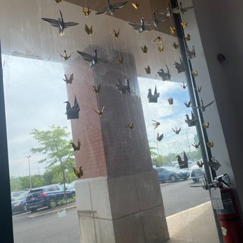 Bearology - Bubble Tea Near Me - Schaumburg, Illinois
