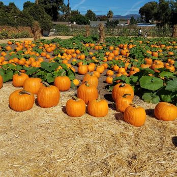 Lane Farms - Fruits & Veggies Near Me - Santa Barbara, California