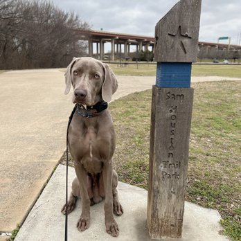 Sam Houston Trail Park - Dog sitting next to Sam Houston Trail Park pole thing. - Parks Near Me - Irving, Texas Sam Houston Trail Park - Dog sitting next to Sam Houston Trail Park pole thing. - Parks Near Me - Irving, Texas