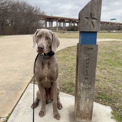 Sam Houston Trail Park - Dog sitting next to Sam Houston Trail Park pole thing.