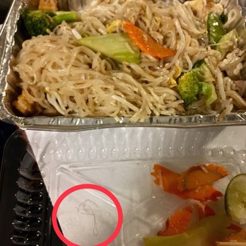 Pad Thai Restaurant - Hair in my pad thai. - Thai Near Me - New Haven, Connecticut Pad Thai Restaurant - Hair in my pad thai. - Thai Near Me - New Haven, Connecticut