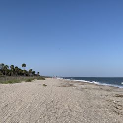 Edisto Beach State Park - The beach adjacent to the campsite