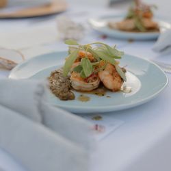 Amanda Palma’s Cookbook