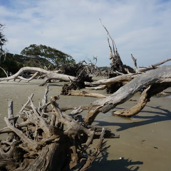 Driftwood Beach - Sunrise - Beaches Near Me - Jekyll Island, Georgia
