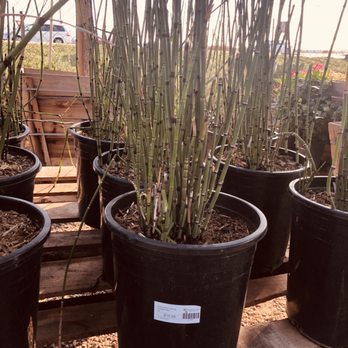 Garden View Nursery - Nurseries & Gardening Near Me - Irwindale, California
