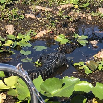 Wild Willy's Airboat Tours - Boat Tours Near Me - Saint Cloud, Florida