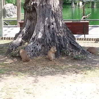 Faunia - Amusement Parks Near Me - Madrid, M