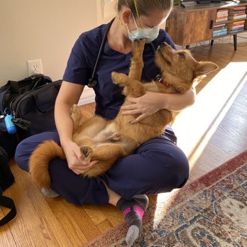 Sarah Daniel - The Kind Vets - Veterinarians Near Me