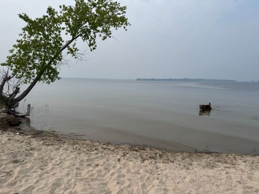 Sandbanks Provincial Park by null