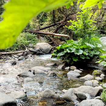 Lewis Creek Trail - Hiking Near Me Lewis Creek Trail - Hiking Near Me