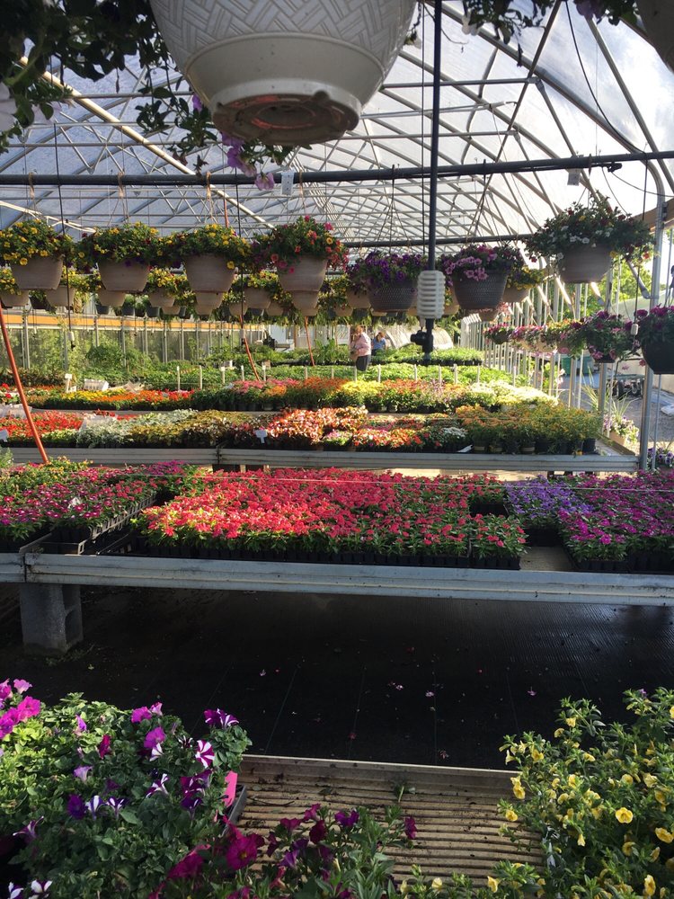 HORN’S HOME & GARDEN Updated April 2024 25 Photos 184 W Trade St