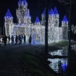 Lights of the South