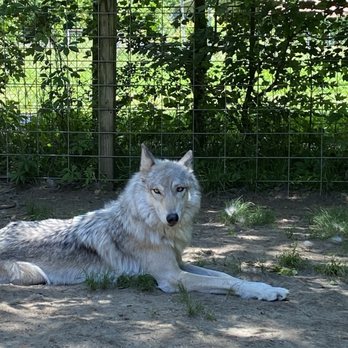 Howling Woods Farm - Animal Shelters Near Me - Jackson, New Jersey