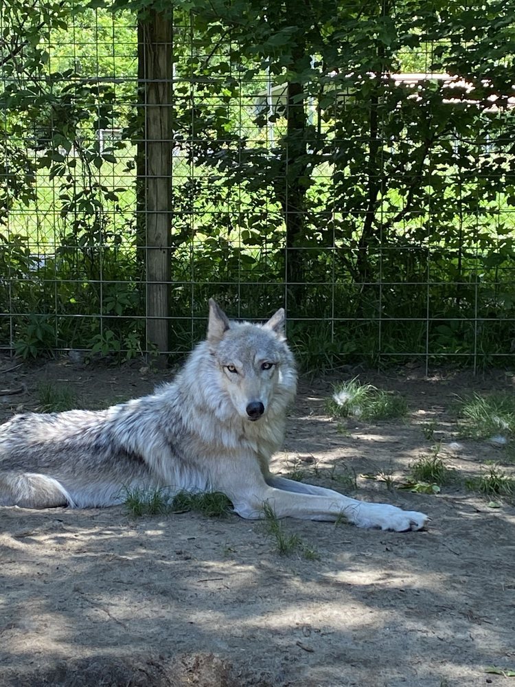 Howling Woods Farm Image
