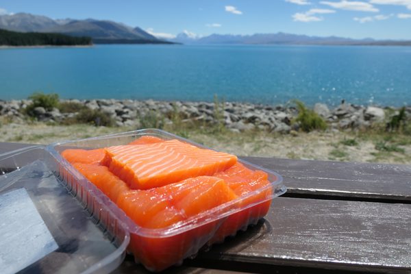 Mt Cook Alpine Salmon Shop by null
